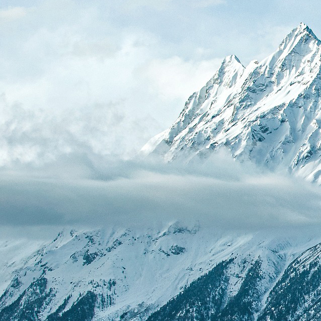 pp电子·(中国)官方网站