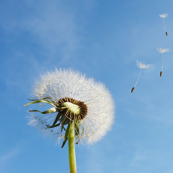 pp电子·(中国)官方网站